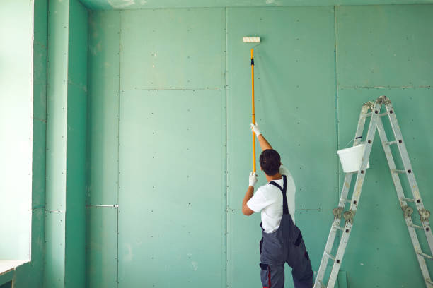 Best Mold Remediation for Healthcare Facilities  in Hollandale, MS