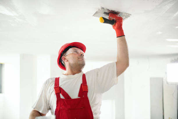 Best Mold Odor Removal Services  in Hollandale, MS