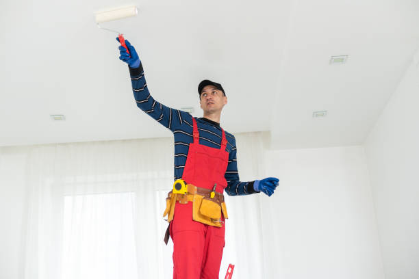 Trusted Hollandale, MS Mold Removal Experts