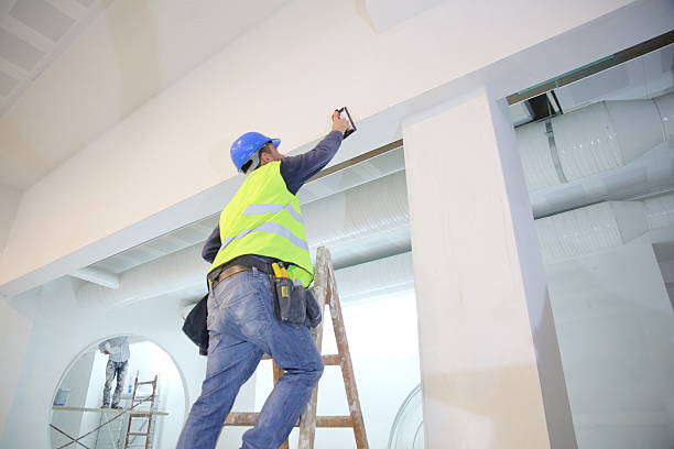 Best Mold Remediation for Rental Properties  in Hollandale, MS